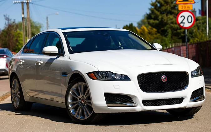 Jaguar XF cena 94000 przebieg: 56000, rok produkcji 2019 z Witkowo małe 326